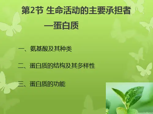 人教版生物第二章第2节-生命活动的主要承担者——蛋白质(共33张PPT)