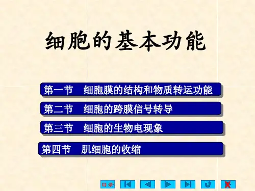 细胞生理--细胞的基本功能