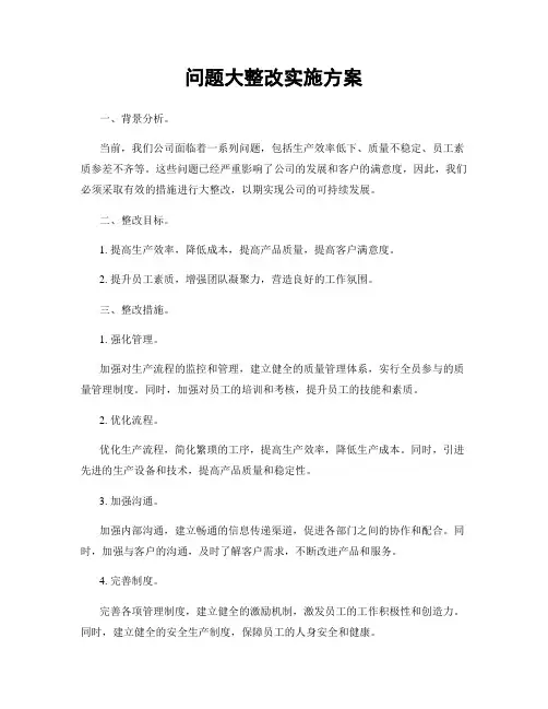 问题大整改实施方案