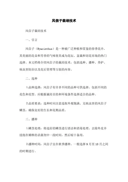 风信子栽培技术