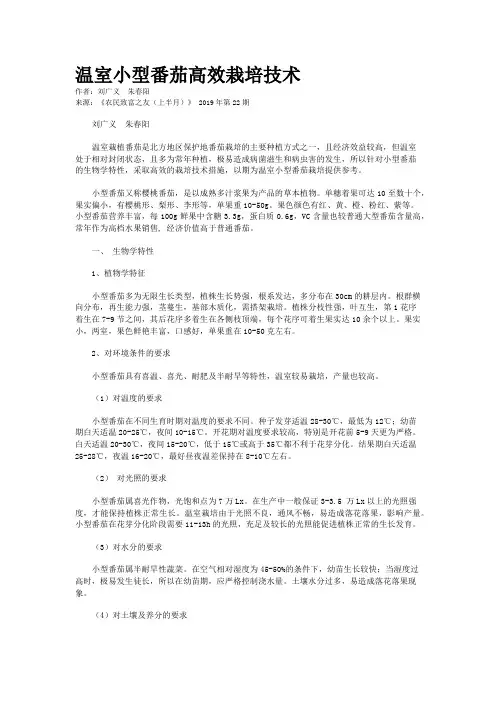 温室小型番茄高效栽培技术