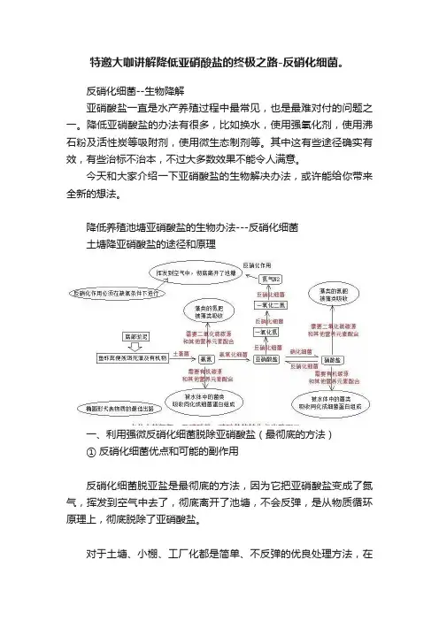 特邀大咖讲解降低亚硝酸盐的终极之路-反硝化细菌。
