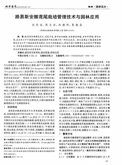 路易斯安娜鸢尾栽培管理技术与园林应用