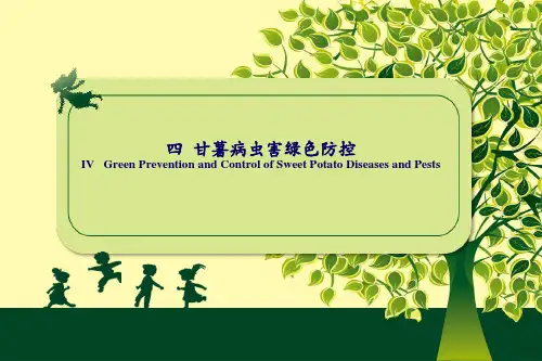 植物病虫害绿色防控技术教学课件(含英文)：甘薯病虫害绿色防控(双语)