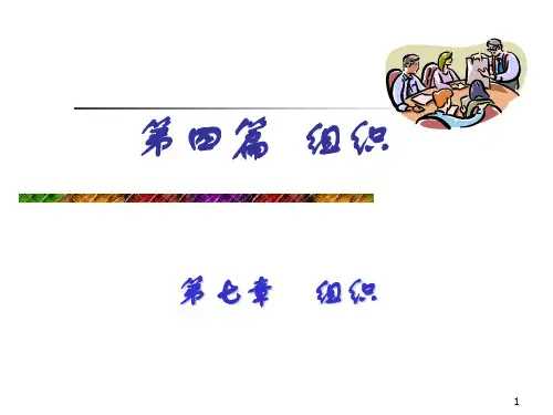 管理学第四篇组织