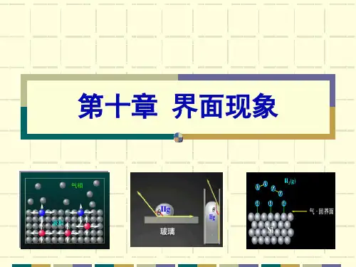 物理化学 第十章  界面现象