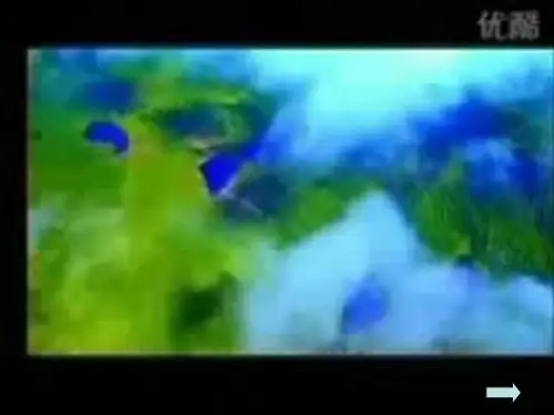 喀斯特地貌的发育