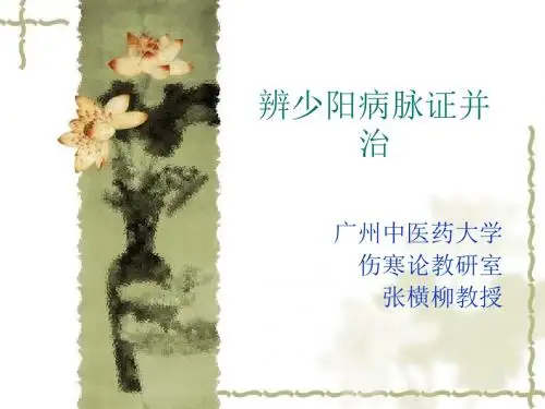 2019-伤寒论--少阳病篇(七版)-文档资料