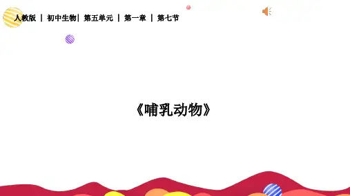 人教版八年级生物《哺乳动物》课件