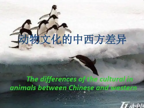 动物文化的中西方差异