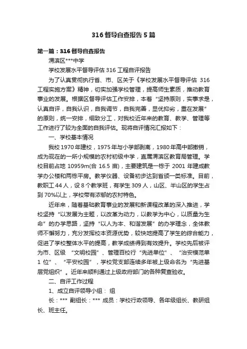 316督导自查报告5篇