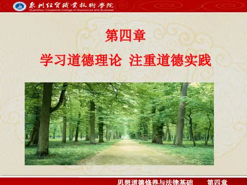 思想道德修养与法律基础第四章 第一节
