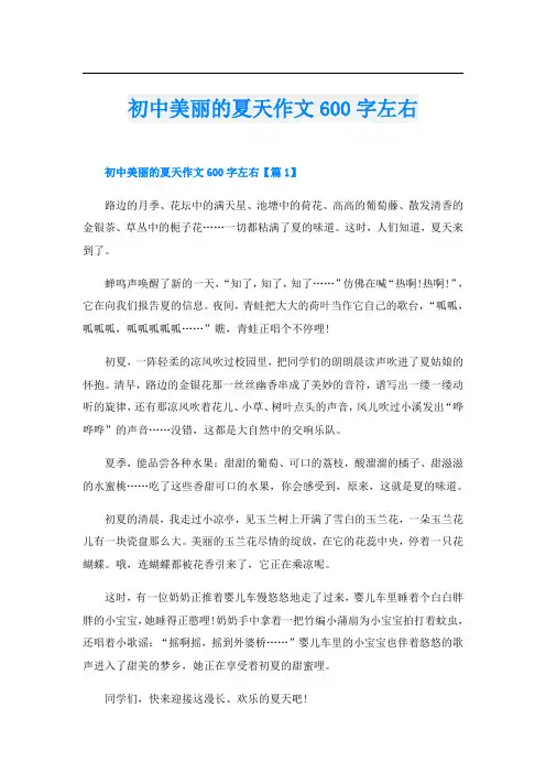 初中美丽的夏天作文600字左右