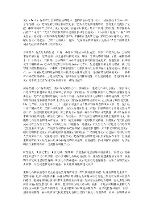 化石资料