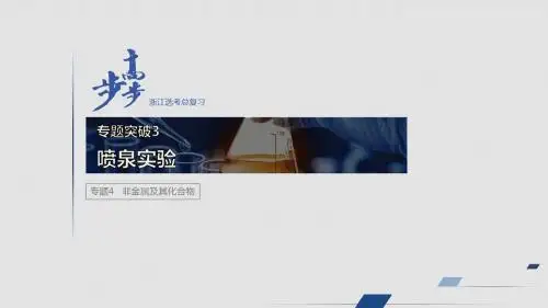 步步高高2020届高2017级高三一轮复习课件配套学案专题4专题突破3