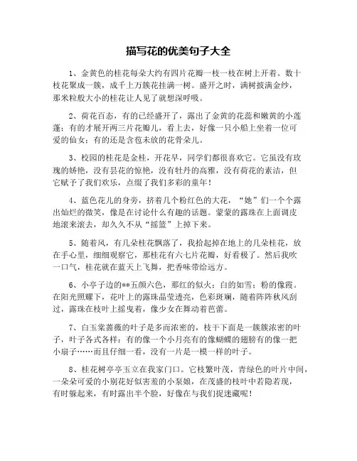 描写花的优美句子大全