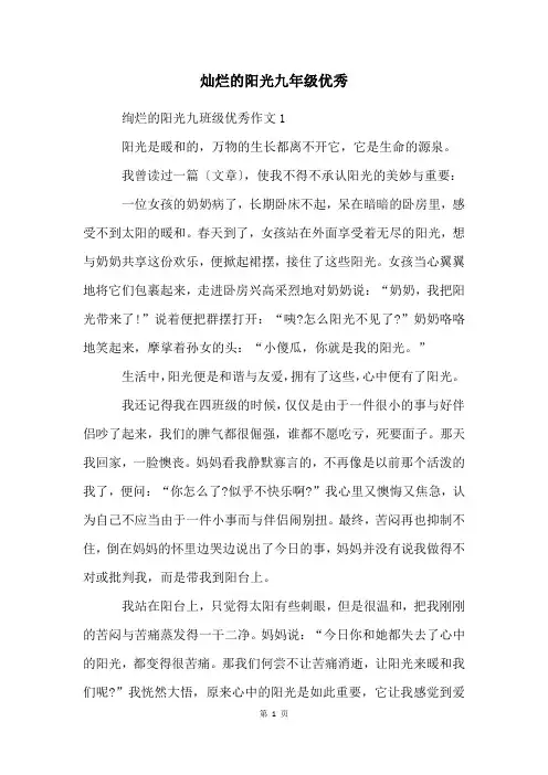 灿烂的阳光九年级优秀