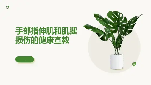 手部指伸肌和肌腱损伤的健康宣教