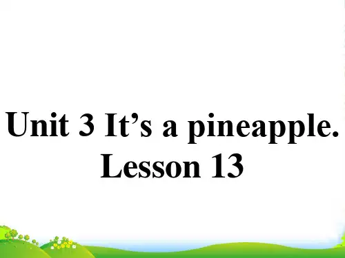 精通版四年级英语上册Unit 3 It's a pineapple. Lesson 13 课件 