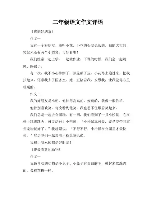 二年级语文作文评语