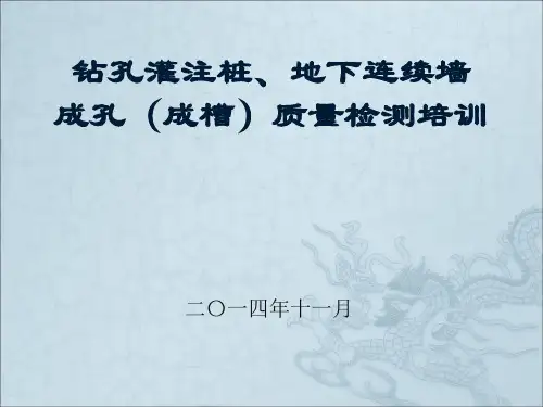 成孔质量检测ppt(2014)