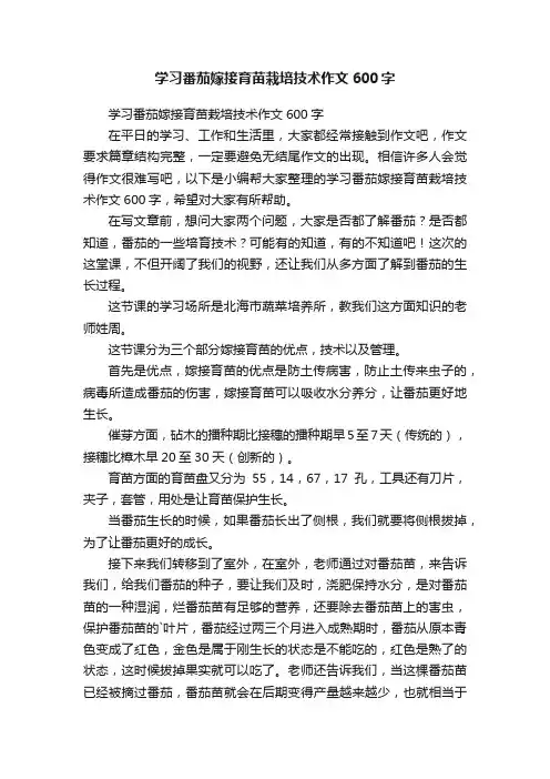 学习番茄嫁接育苗栽培技术作文600字