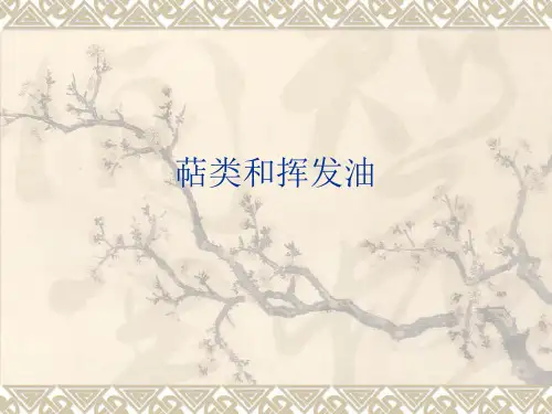萜类和挥发油 PPT课件