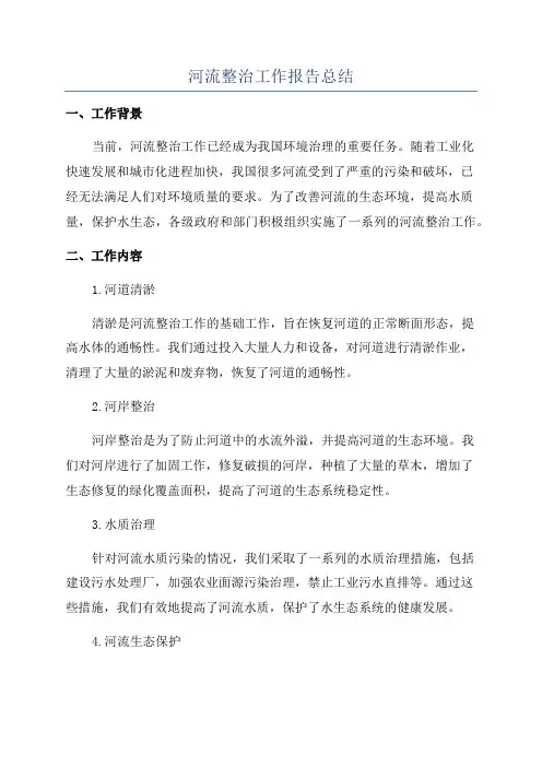 河流整治工作报告总结
