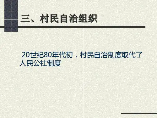 第五章农村社会组织