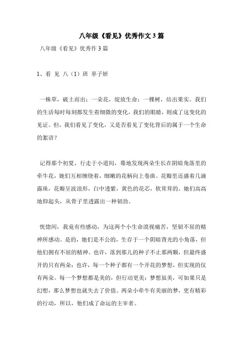 八年级《看见》优秀作文3篇