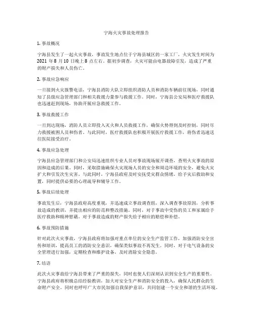 宁海火灾事故处理报告