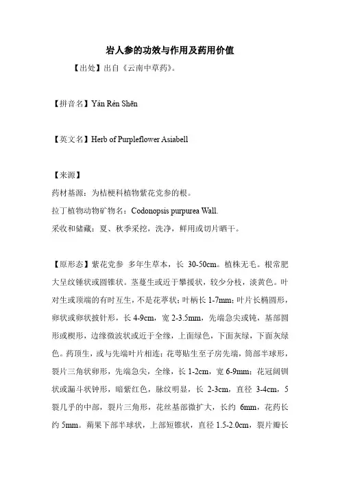 岩人参的功效与作用及药用价值