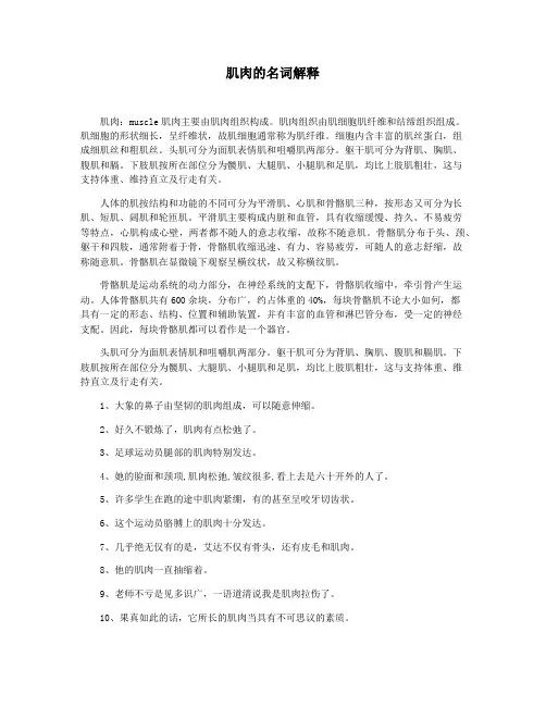肌肉的名词解释