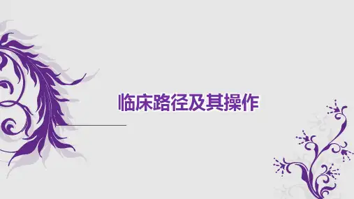临床路径概念及其操作
