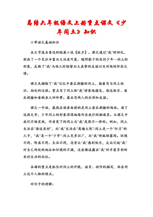 (小学语文基础知识)总结六年级语文上册重点课文《少年闰土》知识