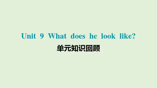 Unit 9 What does he look like？单元知识回顾 课件