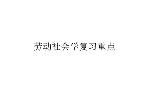 劳动社会学资料-PPT课件