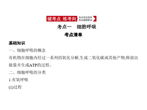 2021年北京新高考生物复习课件：专题5 细胞呼吸