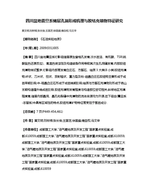 四川盆地震旦系储层孔洞形成机理与胶结充填物特征研究