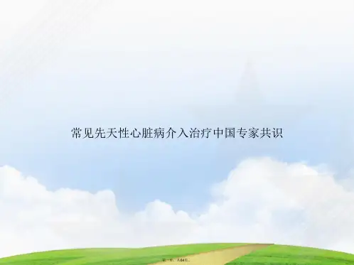 常见先天性心脏病介入治疗中国专家共识讲课文档