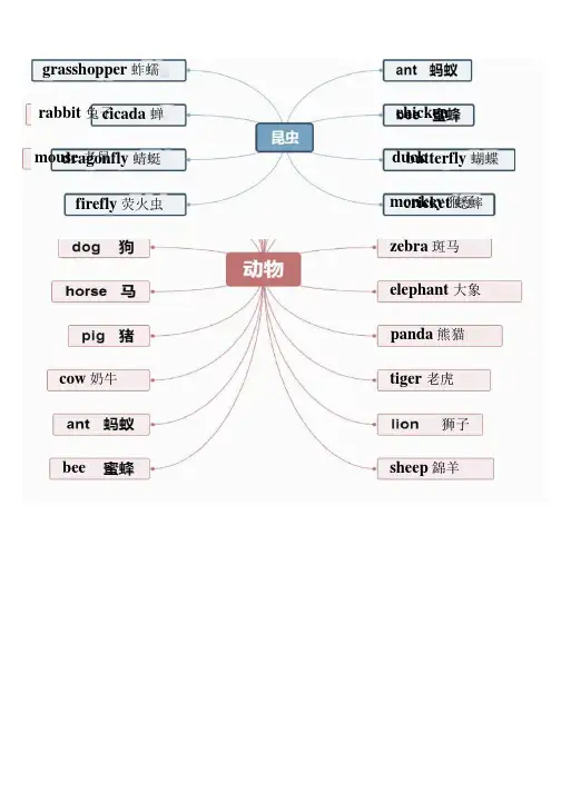 小学英语单词思维导图