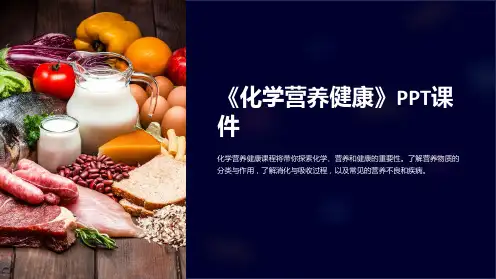 《化学营养健康》课件