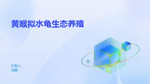 黄喉拟水龟生态养殖