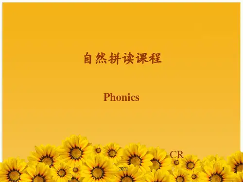 英语字母自然拼读PPT课件
