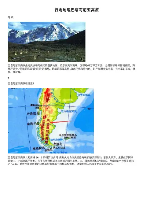 行走地理巴塔哥尼亚高原