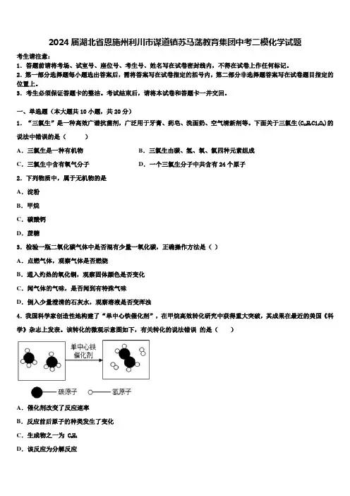 2024届湖北省恩施州利川市谋道镇苏马荡教育集团中考二模化学试题含解析