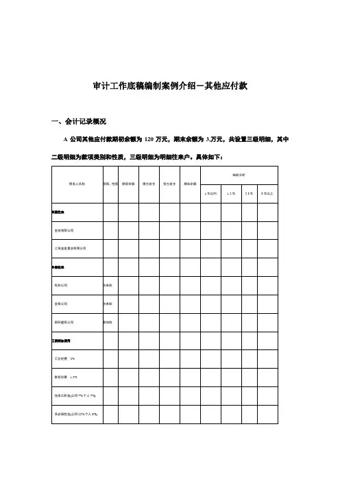 审计工作底稿编制案例介绍之其他应付款