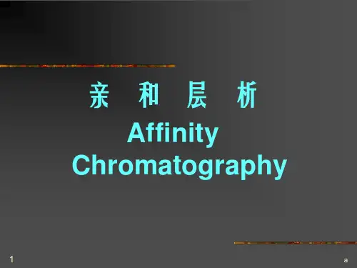 亲和层析AffinityChromatography