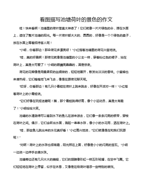 看图描写池塘荷叶的景色的作文