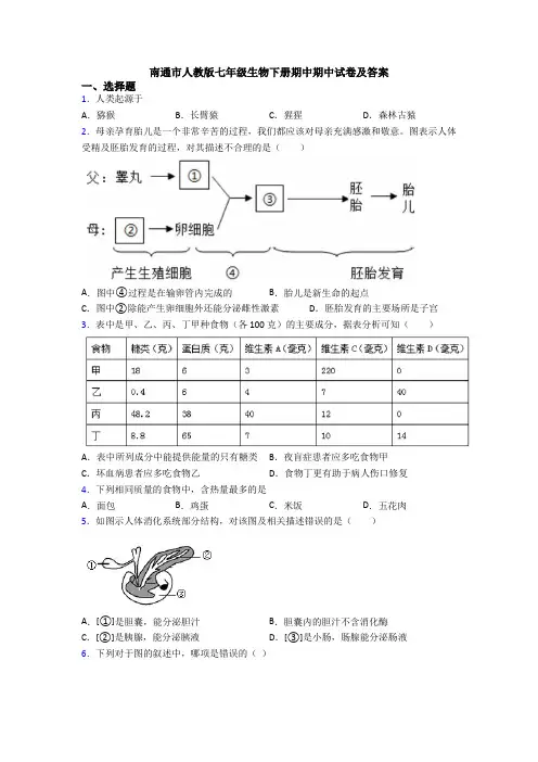 南通市人教版七年级生物下册期中期中试卷及答案